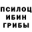 Псилоцибиновые грибы прущие грибы Andriy Vaskovych