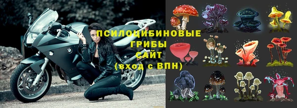 героин Новозыбков