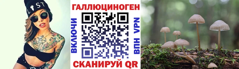 купить  сайты  Светогорск  Галлюциногенные грибы Psilocybine cubensis 